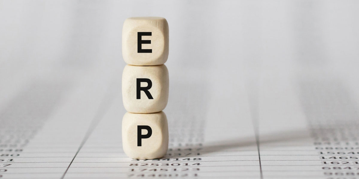 ERP-Software-Systems-–-Useful-in-6-Major-Industries-Primary-image ERP Software Systems Useful in 6 Major Industries Primary image