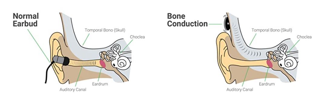Bone conduction