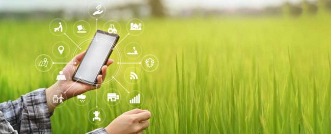 Plowing AI and IoT for a Flourished Farm Primary image Plowing AI and IoT for a Flourished Farm Primary image