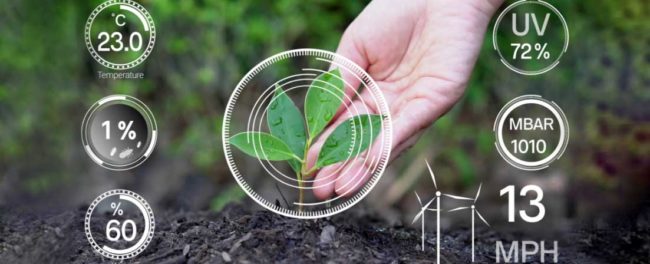 Crop Health Monitoring Primary Image