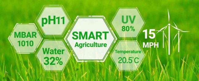 how-iot-will-transform-the-agritech-sector-Primary-Image how iot will transform the agritech sector Primary Image