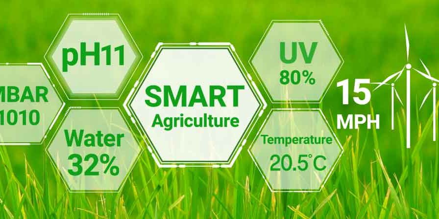 how-iot-will-transform-the-agritech-sector-Primary-Image how iot will transform the agritech sector Primary Image
