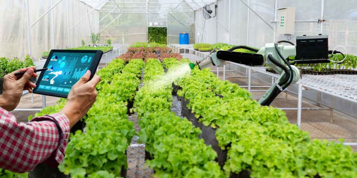 How the agri-tech industry is evolving towards smart agriculture Primary-image How the agri tech industry is evolving towards smart agriculture Primary image