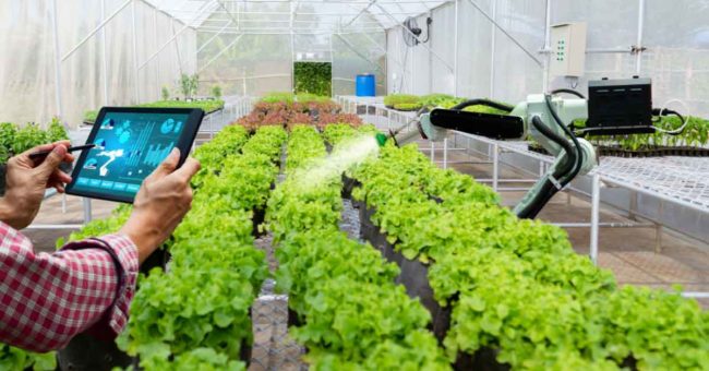 How the agri tech industry is evolving towards smart agriculture Primary image