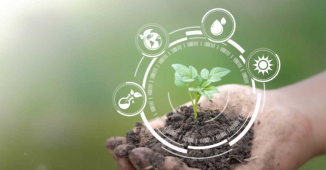 Key Role of IoT in protecting the Environment Primary image