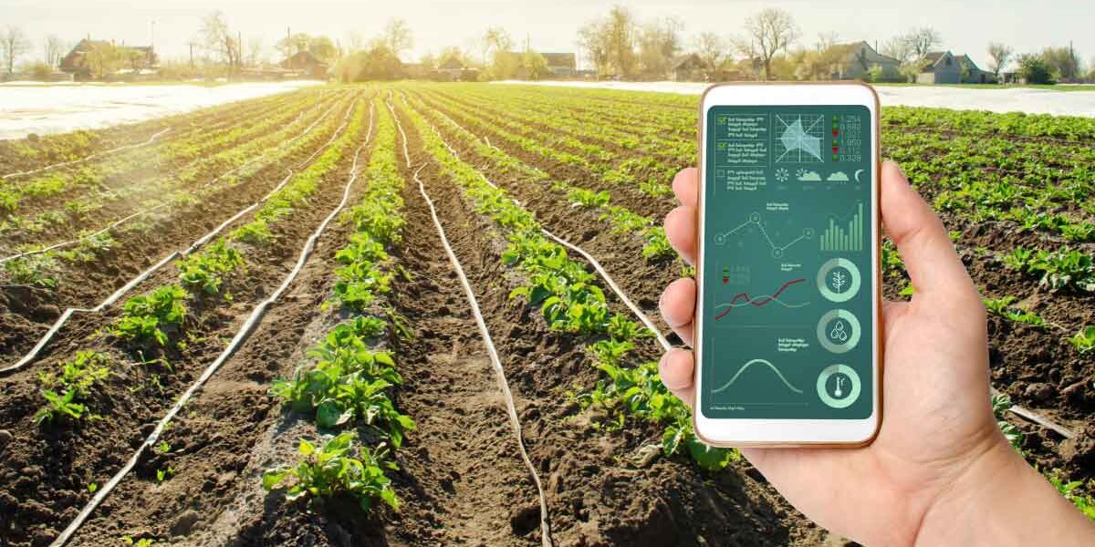 Smart Farming Solution A Sneak Peek into Farming Revolution Primary image (1)