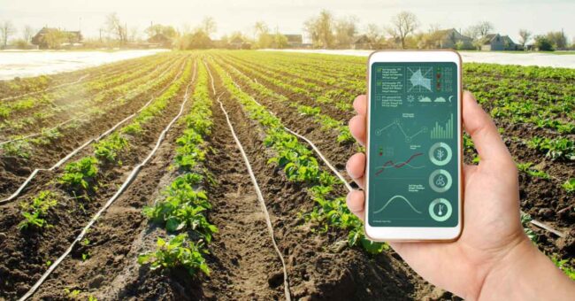 Smart Farming Solution A Sneak Peek into Farming Revolution Primary image (1)