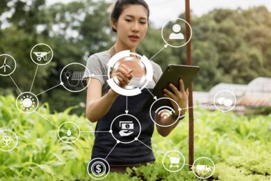 What-Role-Does-IoT-Play-in-Crop-Health-Monitoring-1