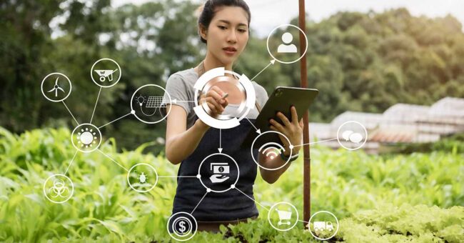 What-Role-Does-IoT-Play-in-Crop-Health-Monitoring-1